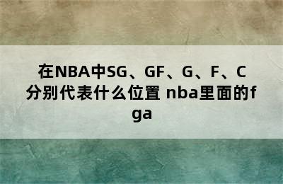 在NBA中SG、GF、G、F、C分别代表什么位置 nba里面的fga